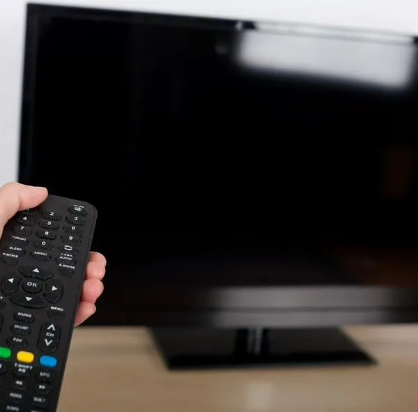 ¿Cuánto costaba un televisor en el año 2000? 