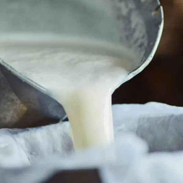 Alpina y Gobierno en alianza para comprar y pulverizar excedentes de leche