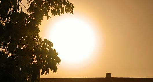 Alerta mundial por registro del día más caluroso de la historia del mundo