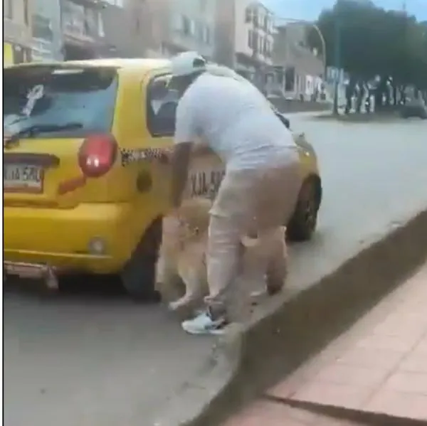 Hombre abandonó a su perro en Duitama, Boyacá: video bajándolo de un taxi