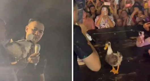 Video | El pato que se robó el show en el escenario junto al vallenatero Diego Daza