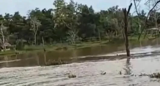 Puente de madera se desplomó en Sucre y dos niños cayeron al agua; la comunidad los salvó