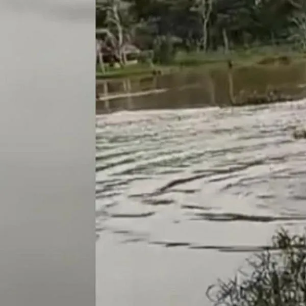 Puente de madera se desplomó en Sucre y dos niños cayeron al agua; la comunidad los salvó