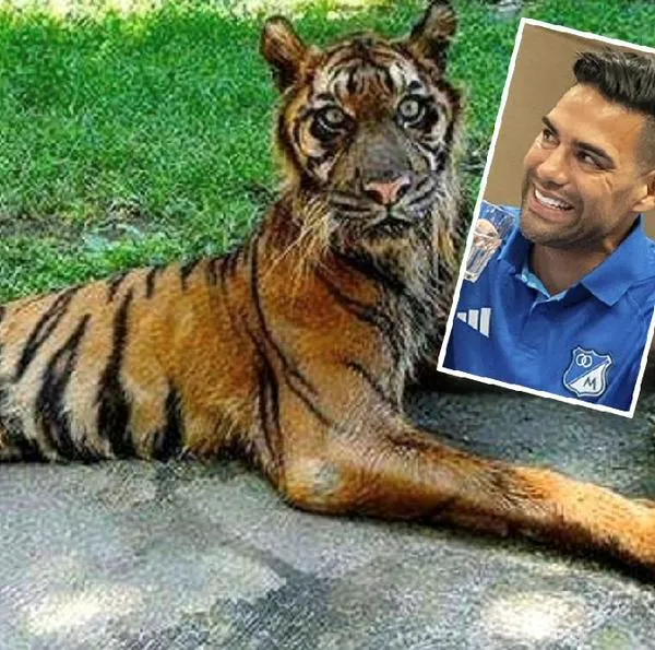 Memes para Falcao García y Millonarios por derrota 1-2 ante Atlético Nacional