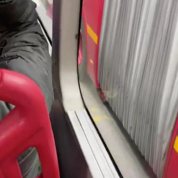 Plaga en Transmilenio: pasajera graba cucaracha en bus y empresa responde