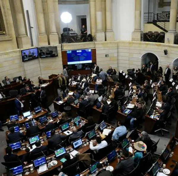 Volvió al Congreso el proyecto que busca regular el cannabis de uso adulto