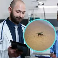 Raro virus que se parece al dengue ya dejó las 2 primeras víctimas en Brasil