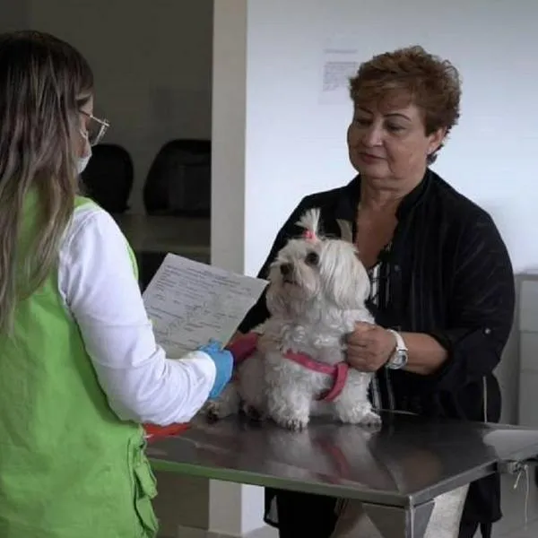Mujer con su perro