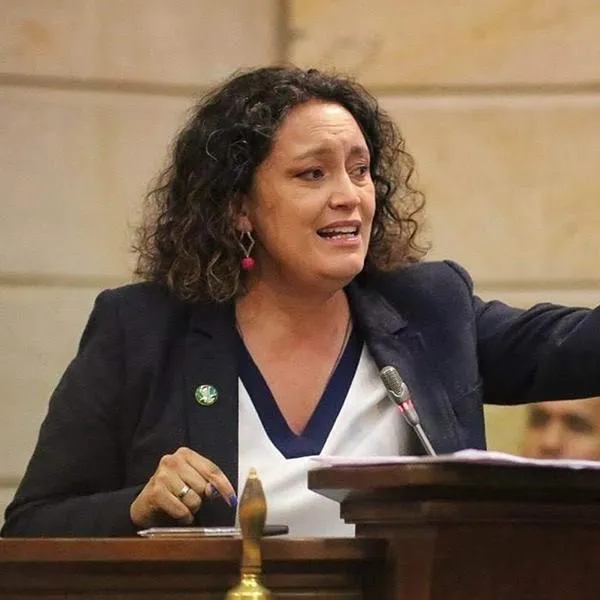 Elecciones Venezuela 2024: Angélica Lozano deportada al llegar a ese país