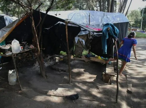 Indígenas embera instalados en Parque Nacional no retornarán a sus territorios: ¿por qué?