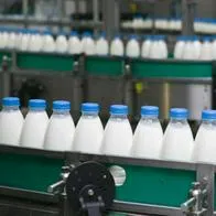 Sector lechero en Colombia toma medidas para combatir crisis; producto tendría cambio