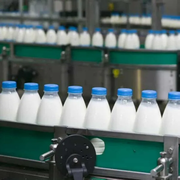 Asoleche lanza propuestas para combatir crisis del sector lácteo en Colombia