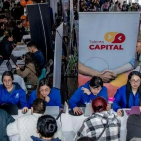 ¿Cómo trabajar con el Estado? Convocatoria con Alcaldía y más desde $ 8' 000.000