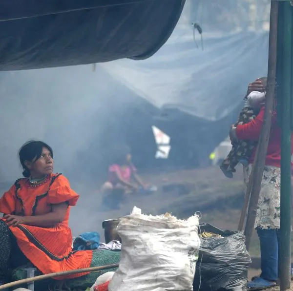 Bogotá invertirá $ 1.800 millones para que indígenas embera vuelvan a sus tierras