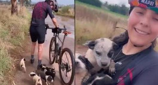 Video: mujer fue a montar bicicleta y terminó rescatando a varios cachorros