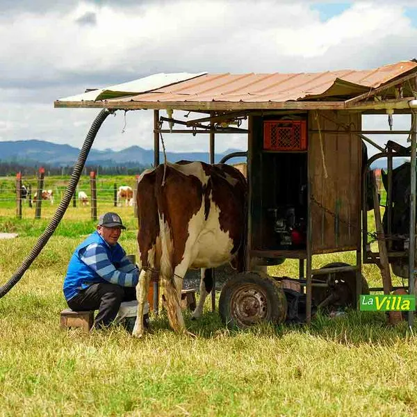 Productores de leche de diversas regiones del país han acordado realizar plantones para este martes, 30 de julio, como protesta ante la grave crisis que enfrenta el sector. 