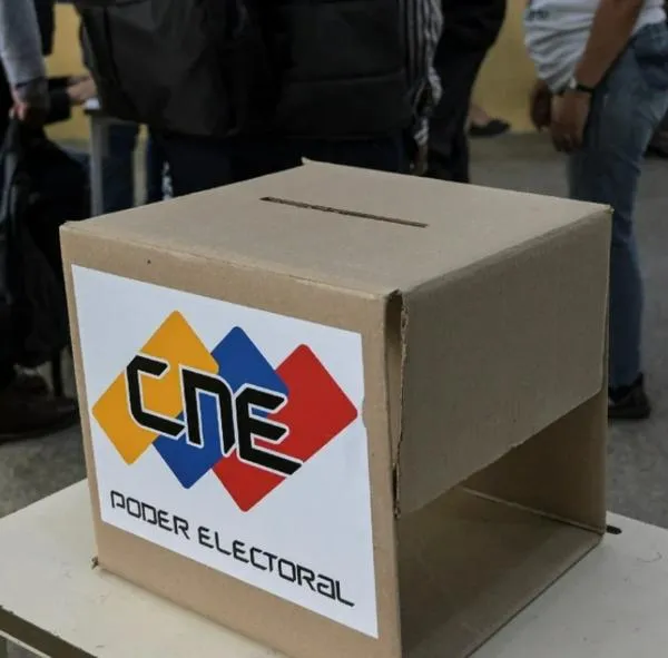 Publican link para ver actas de las elecciones en Venezuela: qué dijo 
Edmundo González