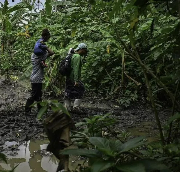 Preocupación en el Darién por posible incremento de migrantes por triunfo de Maduro