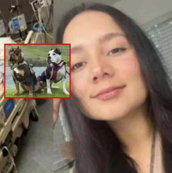 María Peña, colombiana atacada por perros en EE. UU., casi muere en el hospital