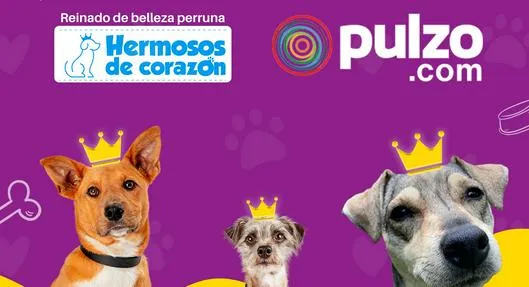 Primer reinado de belleza perruna de Pulzo