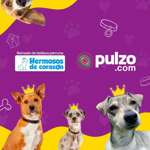 Primer reinado de belleza perruna de Pulzo