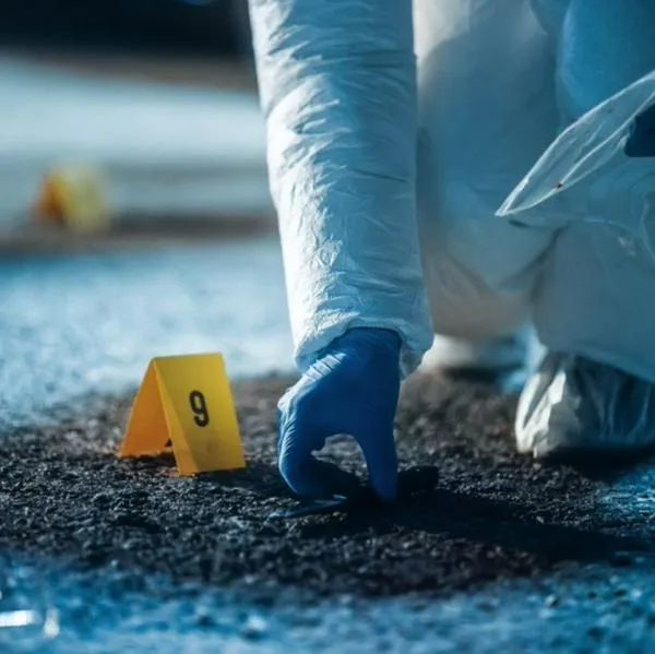 Mujer en Nueva Zelanda confundió muñeca con cuerpo sin vida y desató operativo policial sin necesidad: detalles