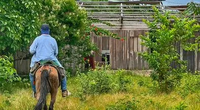 Agencia de Tierras entregará títulos de propiedad a campesinos de Antioquia