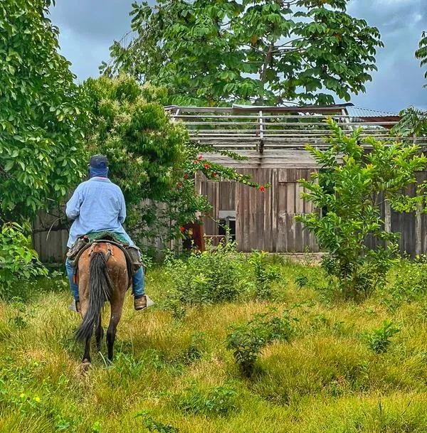 Agencia de Tierras entregará títulos de propiedad a campesinos de Antioquia