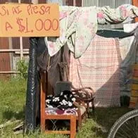 Habitantes de calle tienen intimidad en cambuche, cuesta $ 1.000