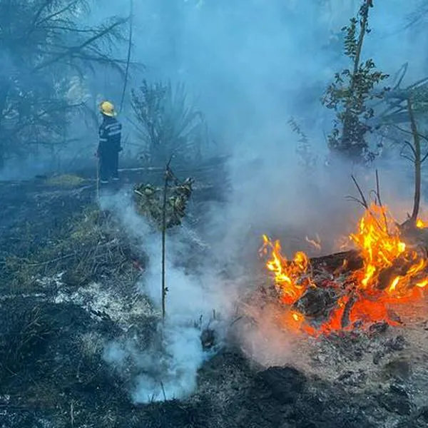 Controlan incendio forestal en Soacha: al menos seis héctareas fueron afectadas