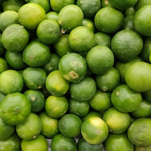 Limones en Colombia serían regalados por competencia en precio: hay preocupación