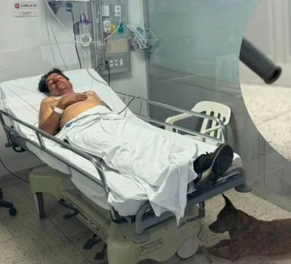 A hombre que se recupera en hospital de Medellín le dejaron ingresar a su perro