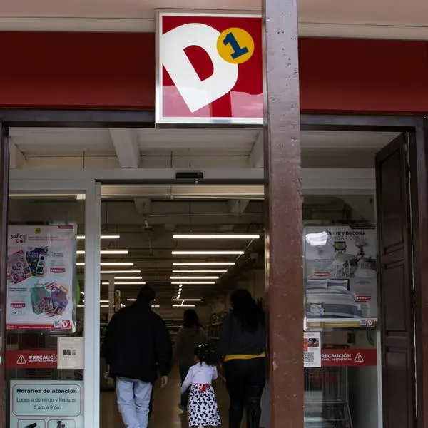 Cobija económica del D1. 
