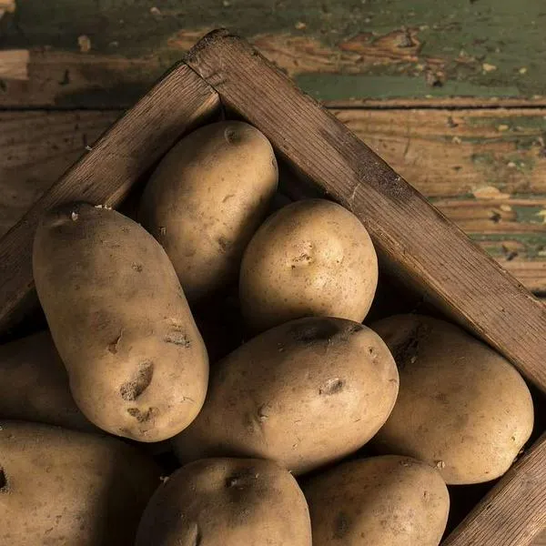 Foto de patatas, en nota precio de papa hoy en Colombia: cuánto vale el kilo, según Fedepapa y Corabastos