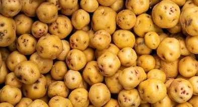 Hay anuncio grande con el precio de la papa criolla en Colombia. Campesinos registran gran cosecha y consumidores salen beneficiados. 