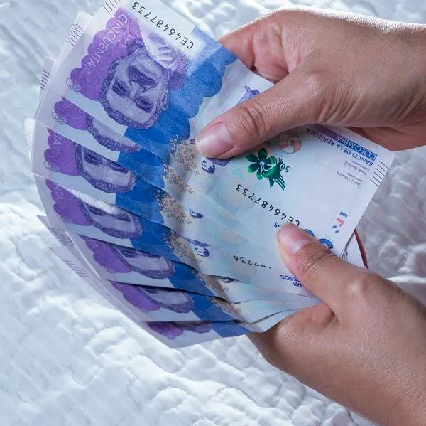 Dinero que ilustra las estafas que advierte EY. 