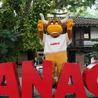 Quiénes son los dueños de Panaca, icónico parque que lleva más de 20 años en Colombia. Este año incursionarán en 3 proyectos. 