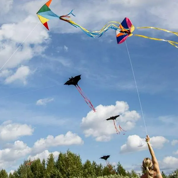 Foto volando cometa, en nota de qué hacer si una cometa se enreda en un cable o árbol: pasos para evitar peligro