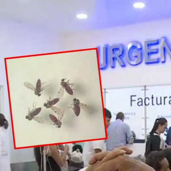 Extraño virus genera preocupación en Colombia: hay varios infectados y dijeron cuáles son los síntomas