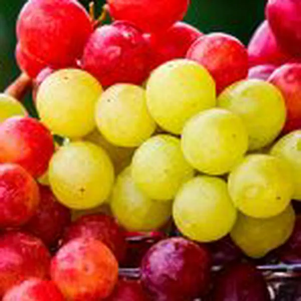 Las uvas pueden ayudar a controlar la presión arterial