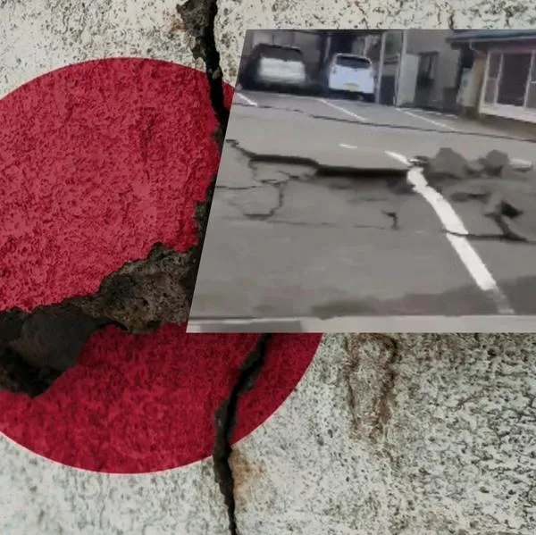 Videos del terremoto en Japón