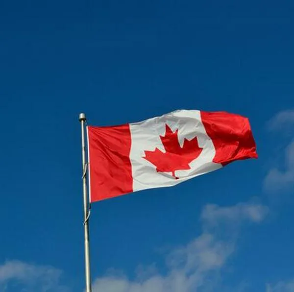 Así puede verificar si necesita homologar su carrera para trabajar en Canadá