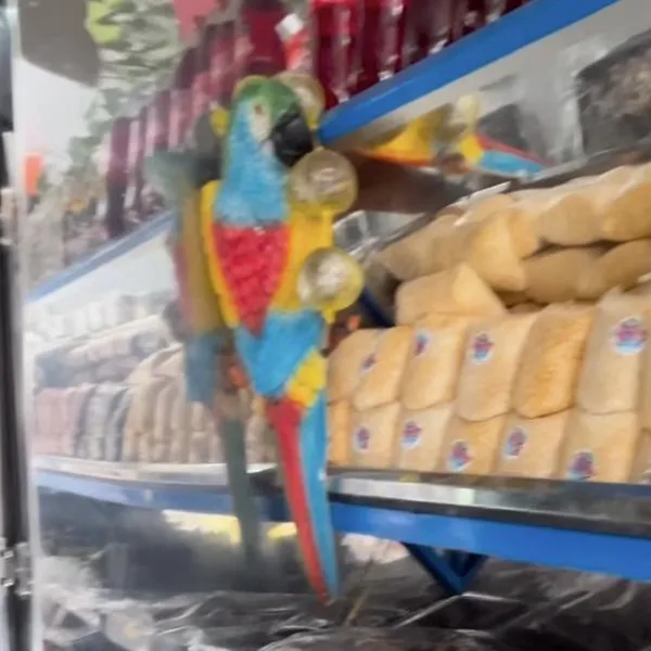 Así es la tienda en Bogotá que vende productos para costeños