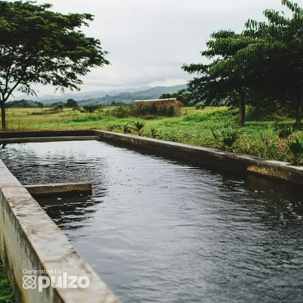 Así es como debe almacenarse el agua para evitar bacterias, virus y enfermedades. 