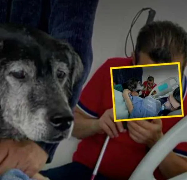 José, un paciente terminal que falleció después de despedirse de su mascota, llevaba meses hospitalizado