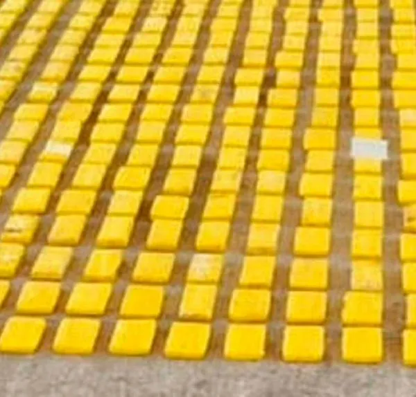 Incautaron cerca de una tonelada de marihuana en el sur de Cartagena