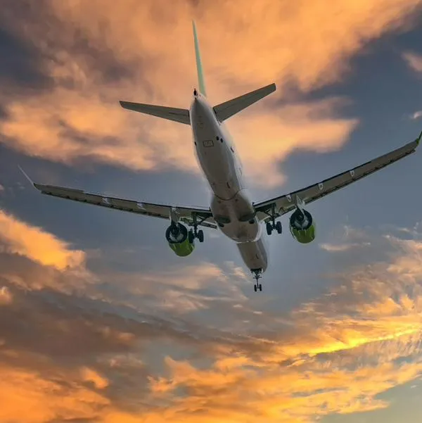 Hombre se coló en vuelo sin tener tiquete: lo hizo en viaje internacional