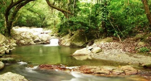 Cuánto cuesta visitar Minca (Magdalena), capital ecológica de Colombia