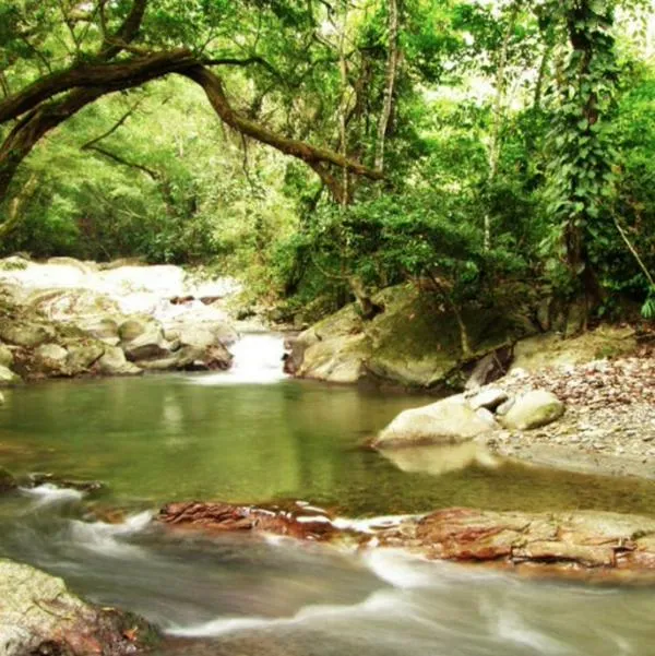 Cuánto cuesta visitar Minca (Magdalena), capital ecológica de Colombia
