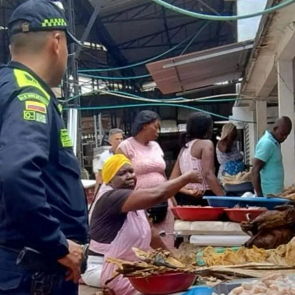 En Cali incautaron carne de armadillo; autoridades alertan riesgo a consumidores